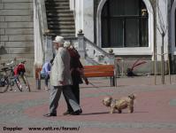 Imagine atasata: Reabilitare centru - 2016.04.03 - 11.jpg